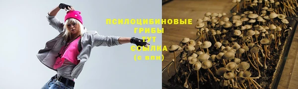 марки lsd Ельня