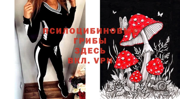гашик Балабаново